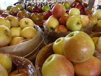 Eight places to enjoy apple picking around St. Louis